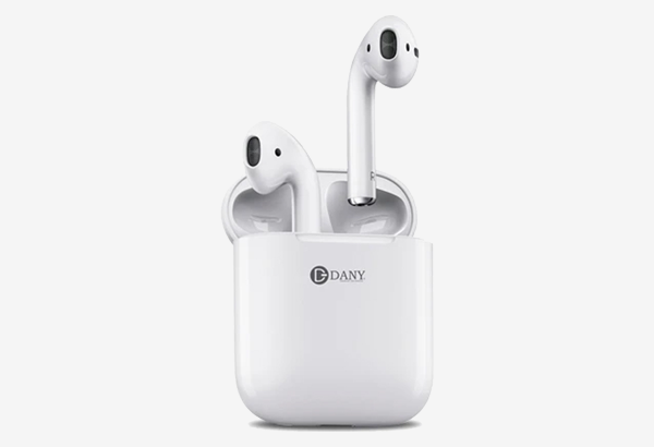 Blue and Pink Tang Fish